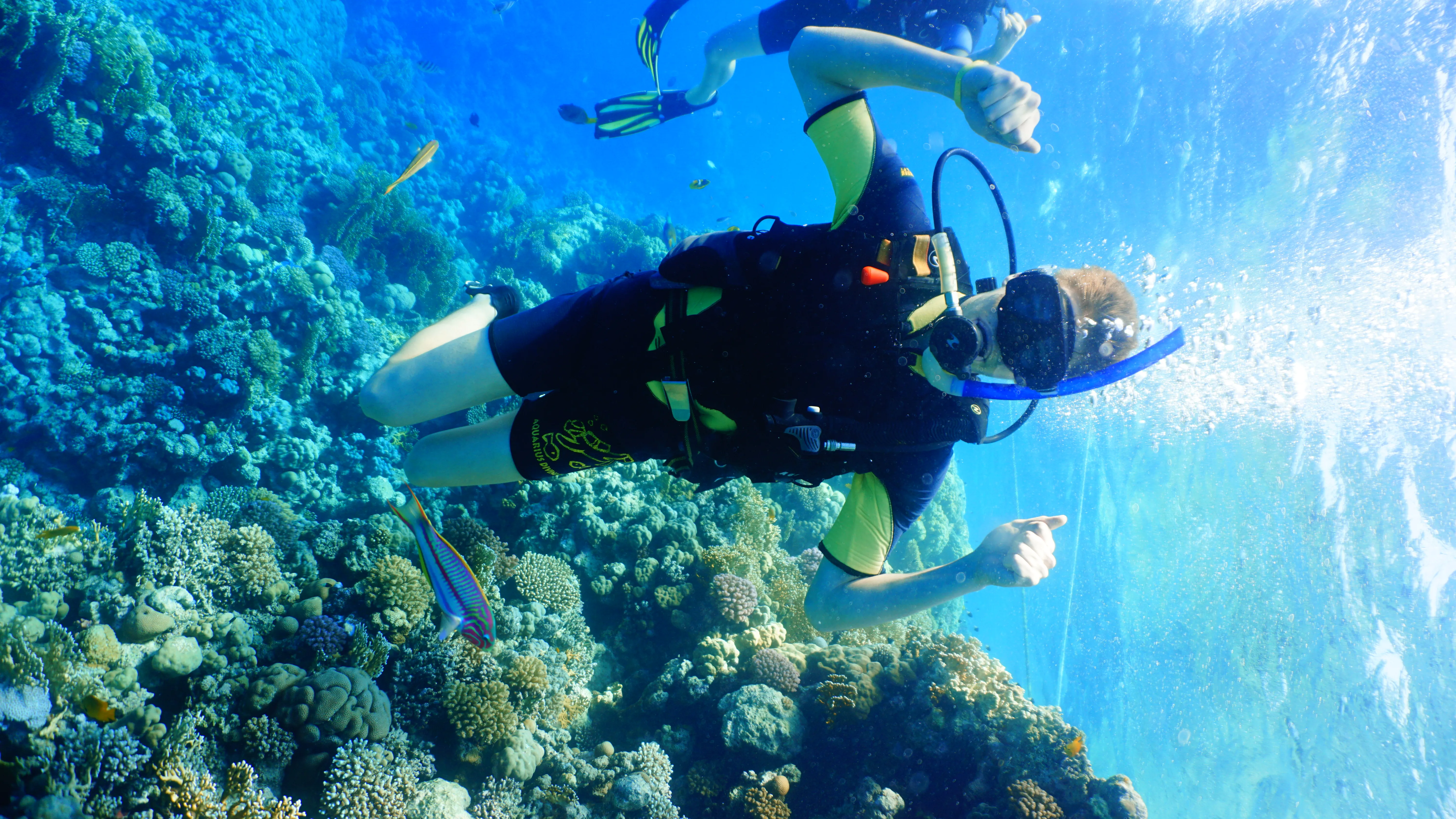 Diving Trip in Hurghada diving-trip-in-hurghada/DSC00999.JPG