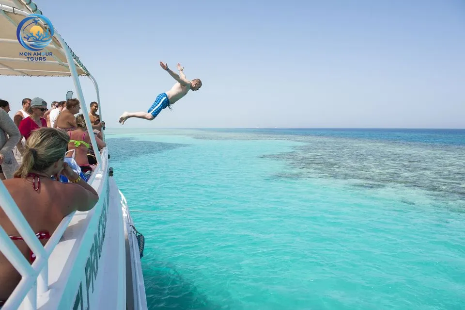 Dolphin House Snorkeling Adventure