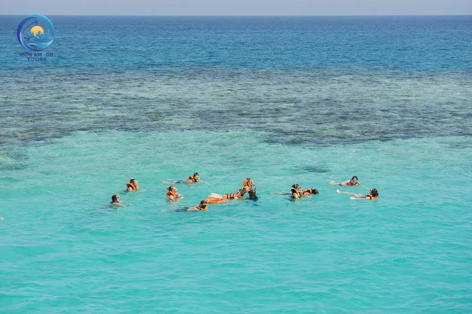 Schnorchel-Abenteuer im Delfin-Haus dolphin-house-snorkeling-adventure/tour_img-1054160-145.jpg